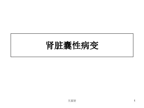 肾脏囊性病变 PPT
