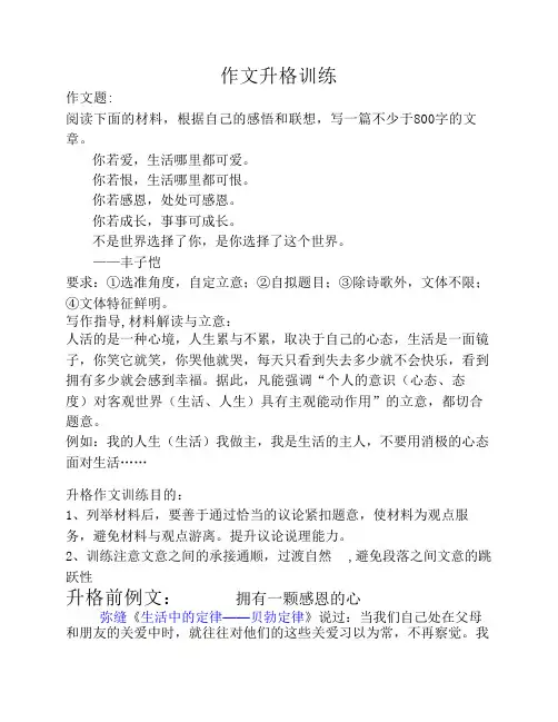 高中作文升格训练