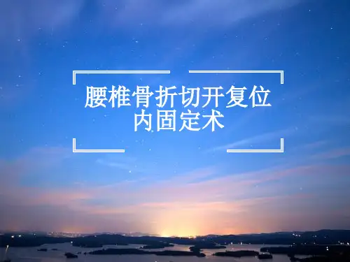 腰椎骨折切开复位内固定术-文档资料