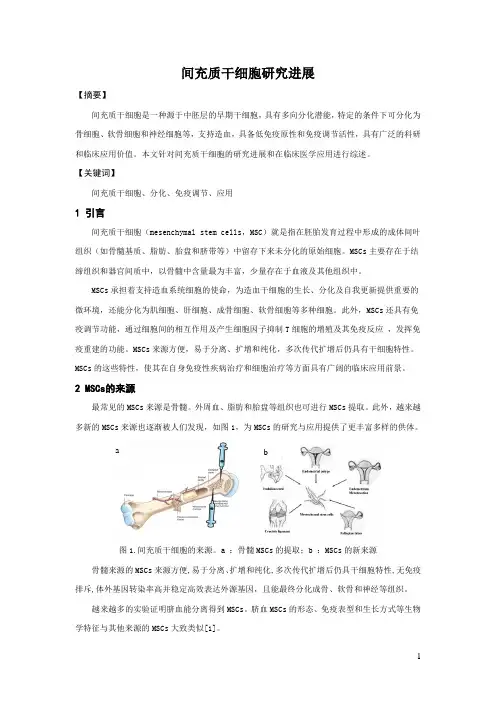 间充质细胞汇总