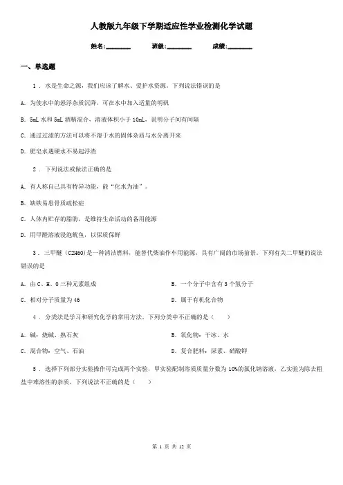 人教版九年级下学期适应性学业检测化学试题