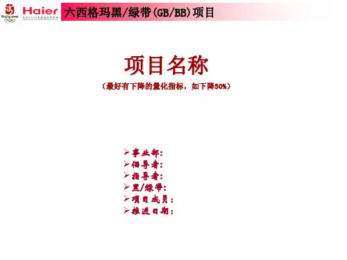 海尔集团六西格玛项目注册表