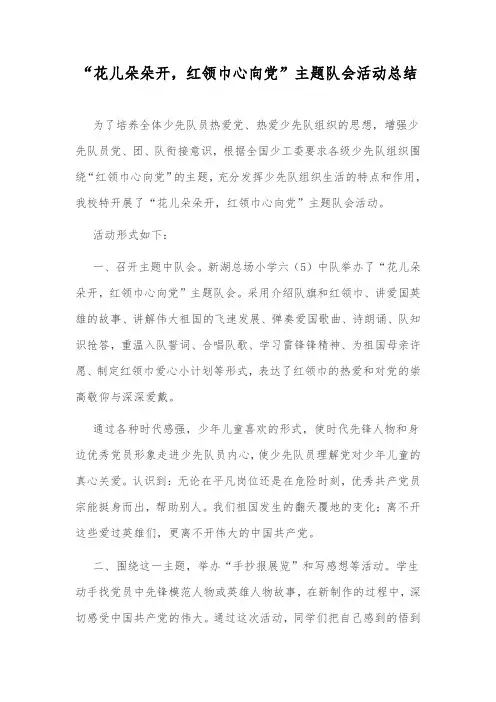 红领巾心向党主题中队会总结