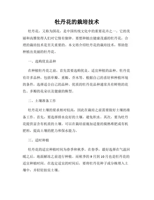 牡丹花的栽培技术