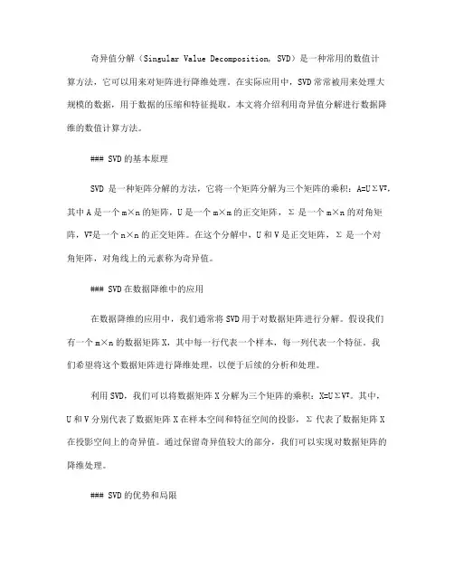 利用奇异值分解进行数据降维的数值计算方法(七)