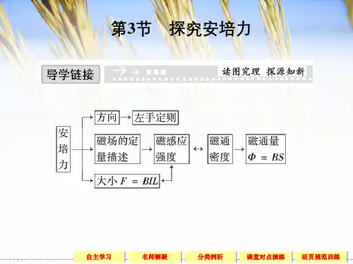 高中物理粤教版选修3-1：探究安培力