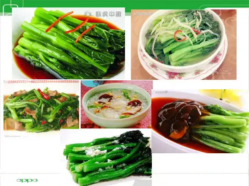 菜心简介及栽培管理技术