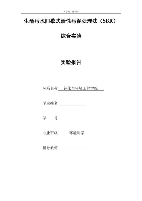水的实验报告