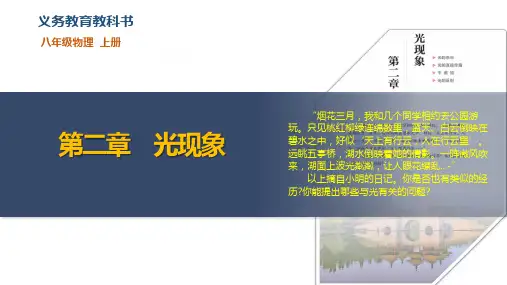 2.1 光的色彩(教学课件)