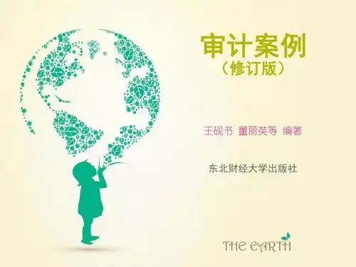 审计案例 - 第2章
