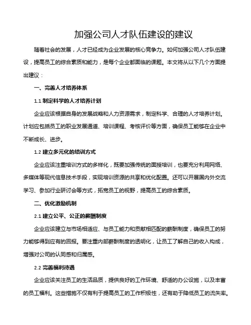 加强公司人才队伍建设的建议