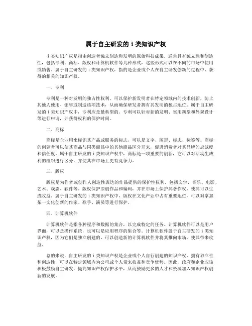属于自主研发的ⅰ类知识产权