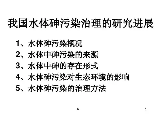我国水体砷污染的治理研究进展