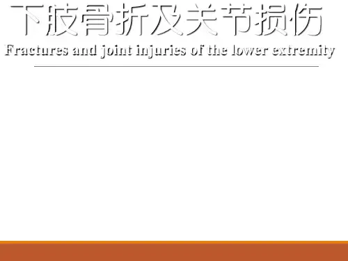 下肢骨折及关节损伤PPT课件
