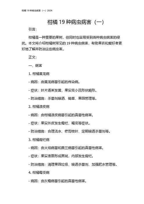 柑橘19种病虫病害(一)2024