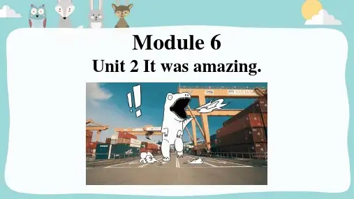 Module6 Unit 2 It was amazing课件 五年级英语下册(外研版一起)