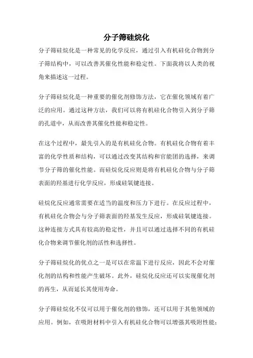 分子筛硅烷化