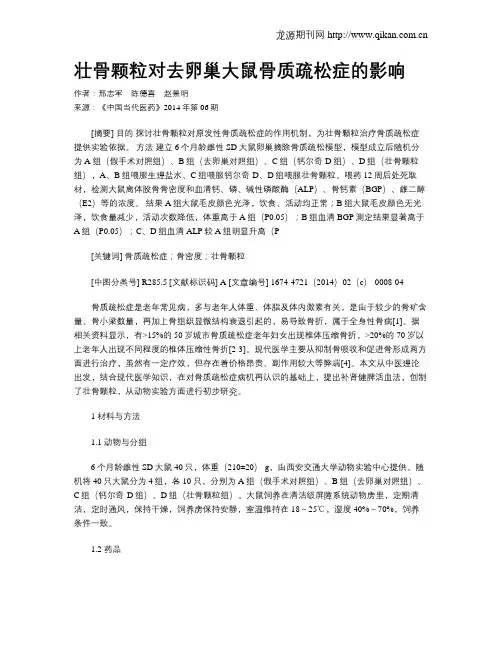 壮骨颗粒对去卵巢大鼠骨质疏松症的影响