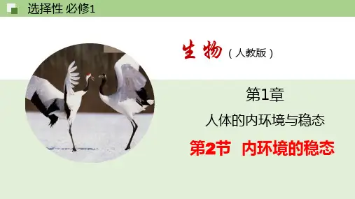 1.2内环境的稳态 课件 高二上学期生物人教版2019选择性必修一