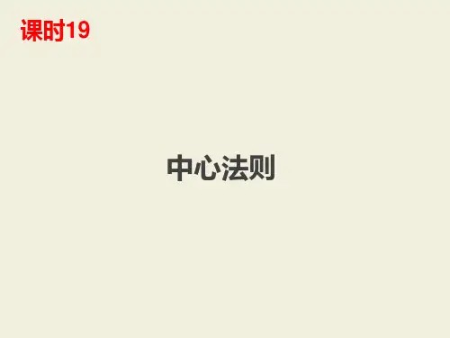 高中生物一轮复习第19课时-DNA的复制转录和翻译、中心法则