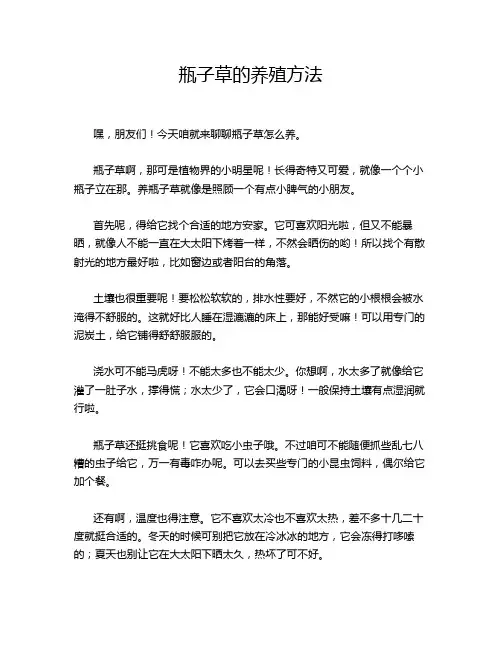 瓶子草的养殖方法