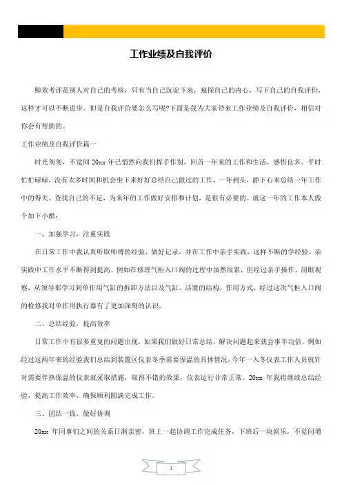 工作业绩及自我评价