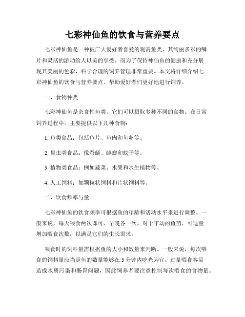 七彩神仙鱼的饮食与营养要点