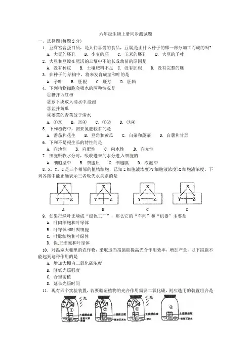 六年级生物上册同步测试题