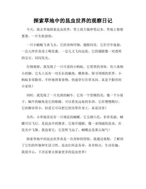小学三年级作文探索草地中的昆虫世界的观察日记