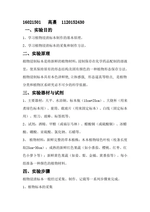 植物标本制作实验报告