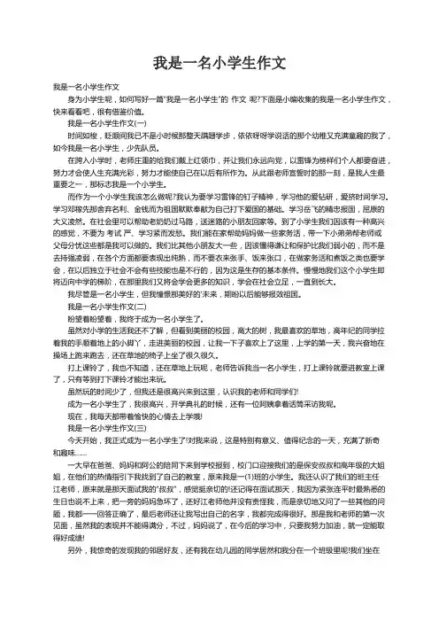 我是一名小学生作文