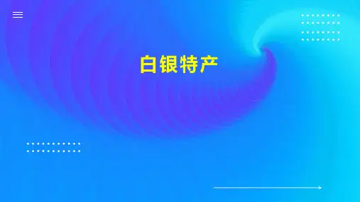 白银特产  