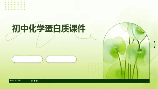 初中化学蛋白质课件