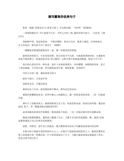 描写露珠的优美句子