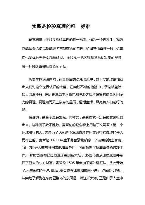 实践是检验真理的唯一标准 2