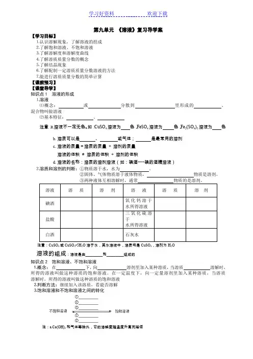 九年级化学第九单元复习导学案