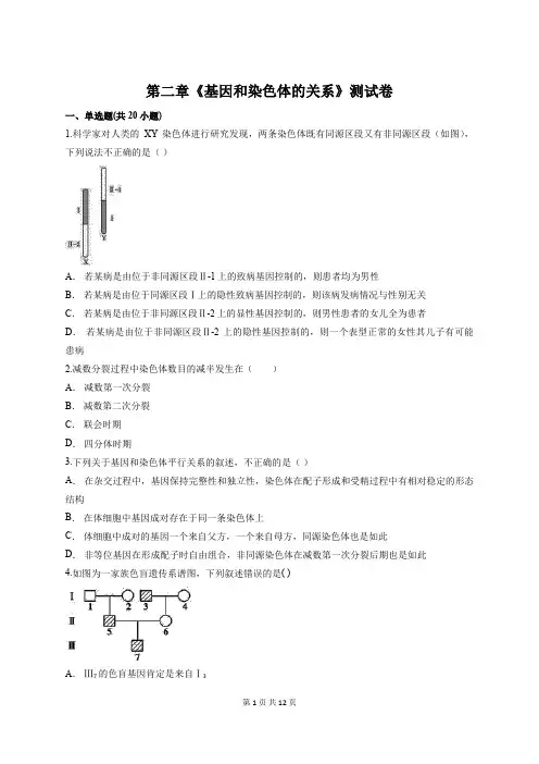人教版高一生物必修2第二章《基因和染色体的关系》测试卷(含答案解析)