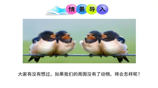 济南版生物七年级上册2.2.5动物在生物圈中的作用(课件)