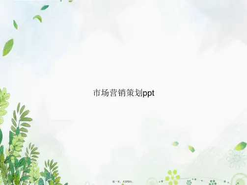 市场营销策划ppt讲课文档