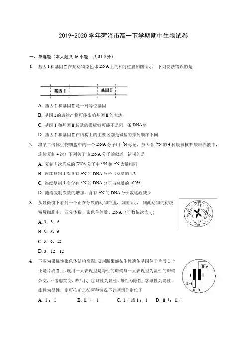 2019-2020学年菏泽市高一下学期期中生物试卷(含答案解析)