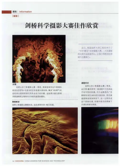 剑桥科学摄影大赛佳作欣赏