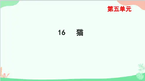 部编版七年级语文上册第16课猫习题课件