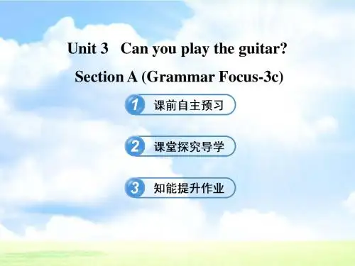 六年级英语下册 Unit 3 Can you play the guitar Section A(Grammar Focus-3c)课件