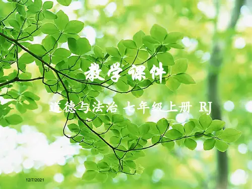 七年级道德与法治上册 第一单元 成长的节拍 第二课 学习天地 2.1 学习伴成长教学课件 