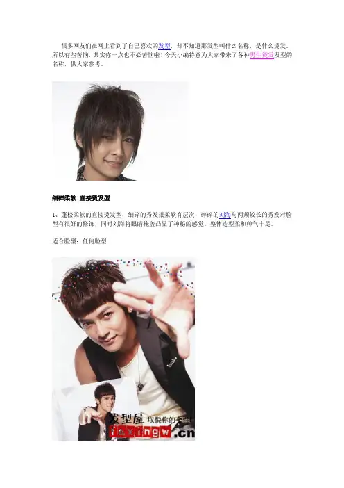 男生烫发发型种类名称参考