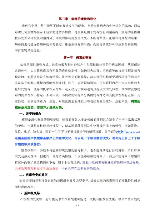 动物病毒学-第3章病毒的遗传和进化