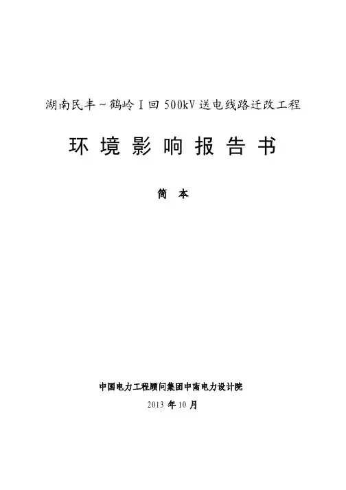 环境影响评价报告书-中南电力设计院