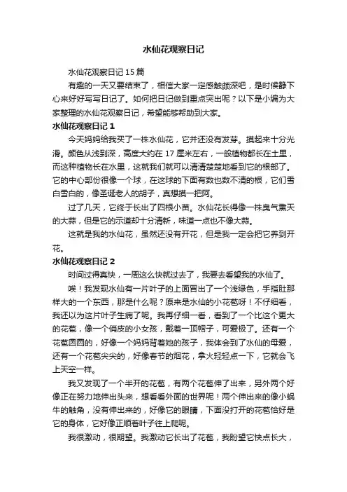 水仙花观察日记