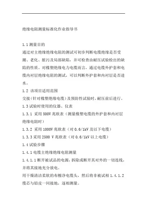 绝缘电阻测量标准化作业指导书