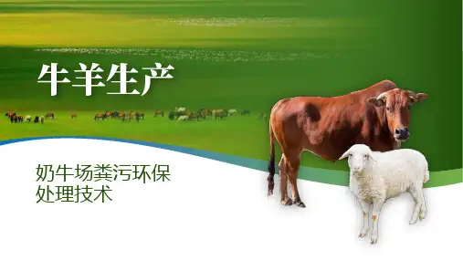 奶牛场粪污环保处理技术课件(共44张PPT)《牛羊生产》